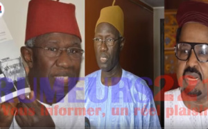 VIDEO - HGS: Mbaye Thiam, membre du comité de rédaction explique l'essence du livre et comment rectifier 