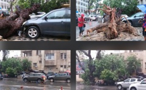 (Photos): Devant Sorano, un arbre déraciné par le vent, fait des dégâts