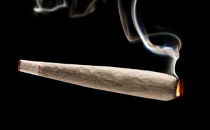 Le cannabis, drogue la plus consommée au Sénégal