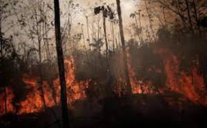 Incendies en Amazonie: Les hospitalisations d'enfants en hausse par rapport à 2018