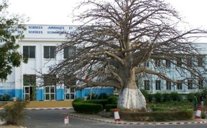 Université Cheikh Anta Diop : Quand codification rime avec violence