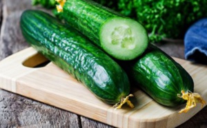 Comment se débarrasser des cafards avec des produits naturels