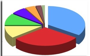 SONDAGE SUR LE NET Du bluff et de la manipulation
