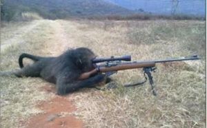Attention! Il ne rate jamais sa cible