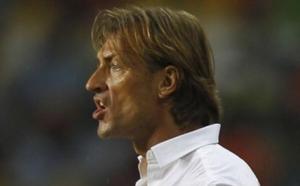 Renard pense au Sénégal