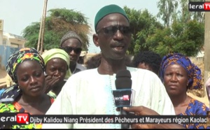 VIDEO - Kaolack: Baisse du prix de la crevette, Djiby Kalidou Niang lance un appel au chef de l'Etat pour sauver la filière