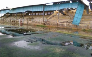 DEVENU UN CHAMP DE RUINES: Il faut sauver le stade Me Babacar Sèye