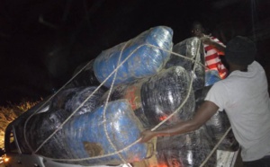 Thiès : Saisie de 660 kilogrammes de chanvre indien sur des charrettes  (images)