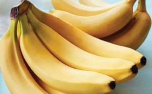 Voici des astuces pour vous permettre de conserver vos bananes plus longtemps