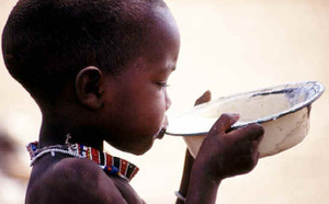 Avis conjoint sur la situation alimentaire et nutritionnelle au Sahel et en Afrique de l’Ouest