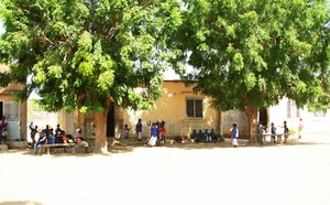 Mbour : Spoliations foncières - Le conseiller rural de Mballing écroué