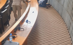 Insolite à l'Assemblée nationale: deux chats réussissent à suspendre la séance plénière