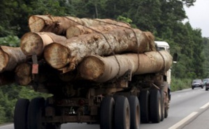 Trafic international de bois: Deux camions gambiens saisis