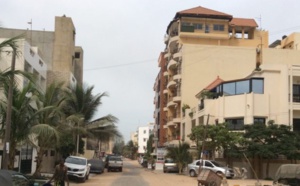 Immeubles HLM Maristes : Les anciennes Lionnes du Basket déboutés par la Cour suprême