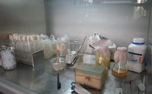 Remise de matériels au Laboratoire Campus de Biotechnologies végétales, mardi