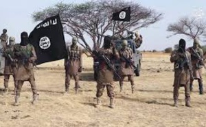 Tchad : attaque meurtrière attribuée à Boko Haram près de Baga Sola