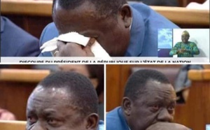 Le Bénin leader de la production de coton,son Ministre de l'agriculture fond en larmes