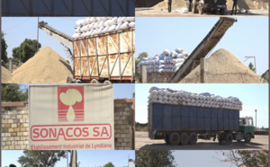 Transformation de l'arachide: «Sonacos n’a plus de stock d’huile invendu»