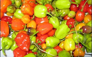 Le piment : Un remède contre le cholestérol
