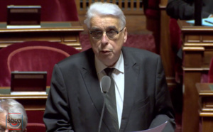 Mort de G. Dupont et C. Verlon: Un sénateur interpelle la ministre des Armées