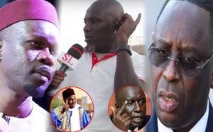 VIDEO -  Assane Diouf, l’ex insulteur public s’en prend à Idy, humilie Sonko, conseille Macky et défend Wade