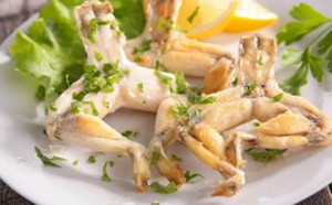Cuisses de grenouilles: Très peu caloriques, les bienfaits sur la santé et dans un régime !