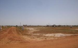 Litige foncier à Rufisque : Un scandale de 40 hectares sème la division