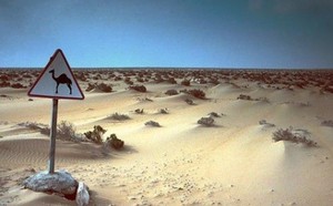Sahara/ONU : la sangsue et le parasite prédateur à découvert