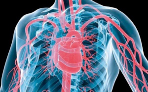 Prise en charge maladies cardiovasculaires au Sénégal: 7 milliards de FCfa investis dans les évacuations sanitaires