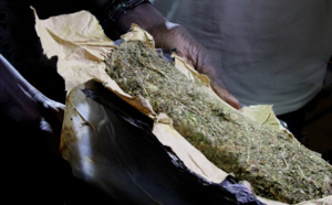 Offre et cession de drogue: le frère du lutteur Modou Lô risque 3 ans de prison ferme