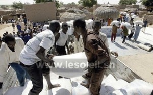 Crise alimentaire et nutritionnelle : Un fonds d’urgence de 3,6 milliards de FCfa de l’Onu au Sénégal