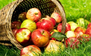 Trop de cholestérol ? Passez à deux pommes par jour