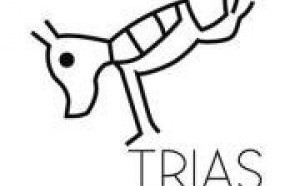 Programme de formation pour les acteurs culturels «Trias Numerika» pour stimuler l’économie numérique, chez les artistes
