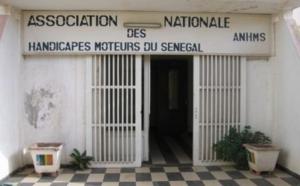 Insertion dans la vie politique : le handicap n’est pas un obstacle !