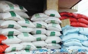 Autosuffisance en riz: La Fao dément les autorités du Sénégal