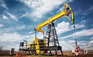 Baisse des cours du pétrole : tous les produits pétroliers, y compris l’électricité, doivent baisser (Expert)