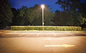 Les insectes influencés par l'éclairage nocturne