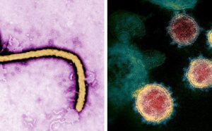 Covid-19 : où en sont les traitements et vaccins ?