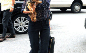 Miranda Kerr : Comment allier classe et transprence