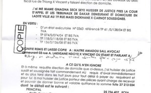 Me Sall s'étrangle de colère : "Ils ne me feront pas taire"