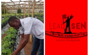 Souleymane Agne, CEO de la startup FraiSen : L’entrepreneur agronome s’investit dans la production et la commercialisation de la fraise en Afrique