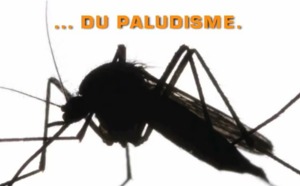 Lutte contre le paludisme : encore 1500 milliards à rechercher