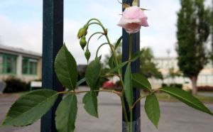 Le collégien de Rennes a succombé à ses blessures
