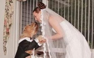 GHANA: UNE FEMME ÉPOUSE UN CHIEN!