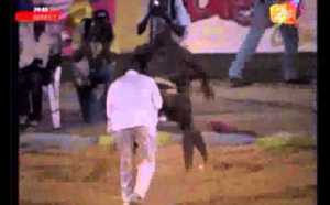 (VIDEO) Pape Mor Lo terrasse Tapha Boy Bambara