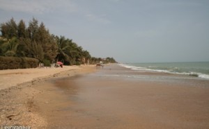 Erosion côtière à Saly: Pourquoi les hôteliers sont–ils si inquiets ?