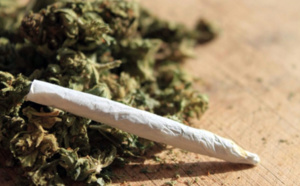 Tivaouane : 4 individus arrêtés avec 135 kg de chanvre indien