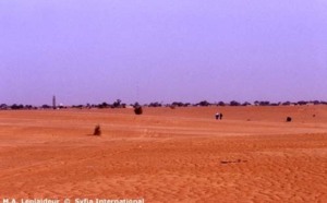 Rétrocession d’un terrain de plus de 10 hectares à Mbao Macky corrige Wade et tacle la direction générale des impôts et domaines