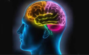 Le coronavirus affecte-t-il notre cerveau ?