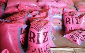 Covid-19 / Ziguinchor: Le quota de riz alloué à la Commune, installe la polémique